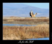 DSC_5131_Web.jpg