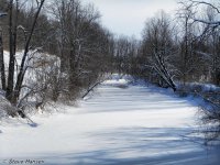 DSCN1000.jpg