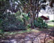 2-16-15 Tradewinds   2.jpg