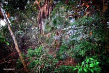 2-16-15 Tradewinds   4.jpg