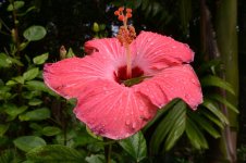 DSC_1323.jpg