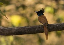 DSC_6036.jpg