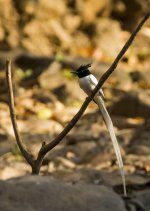 DSC_6040.jpg