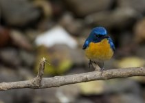 DSC_6067.jpg