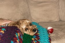 DSC_0335.jpg
