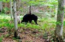 DSC_0119_2944.jpg