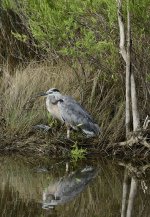 _DSC7574.jpg