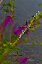 DSC_0226 (427x640).jpg