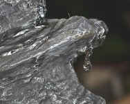 2012-232.jpg