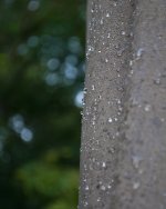 2012-233.jpg