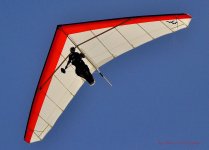 hang glider.jpg