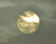 sun through mist.jpg