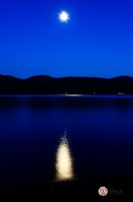 DSC_0942.jpg