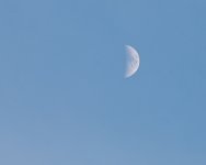 2012-236.jpg