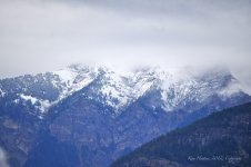 1st snow.jpg