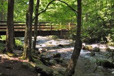 DSC_0141-833968086-O.jpg