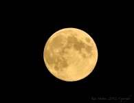 August Full Moon.jpg August Full Moon.jpg