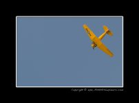 Yellow-Plane.jpg Yellow-Plane.jpg