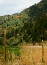 DSC_0163.jpg