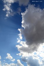 DSC_0005.jpg
