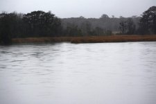 DSC_2550.jpg