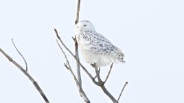 DSC_6634.jpg