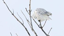 DSC_6628.jpg