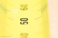 macro f9.0-2354.jpg macro f9.0-2354.jpg