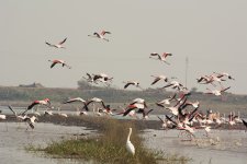 DSC_5077.jpg