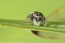 15A_8791_webshot.jpg