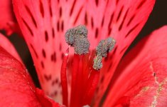 DSC_6336.jpg