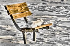 bench hdr1-2.jpg