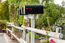 Mail Boxes on the Fence.jpg