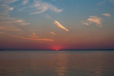 Almost Gone-1.jpg