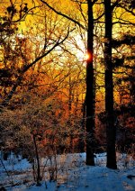 DSC_1079.jpg