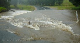 Pat Smiths Creek.jpg