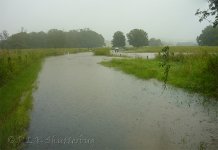 Nobbys Creek Rd.jpg
