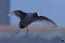 [flight2].jpg