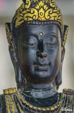 black-statue-1.jpg
