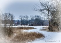 path hdr-3.jpg