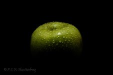 15A_8828_webhot.jpg