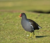DSC_3315.jpg