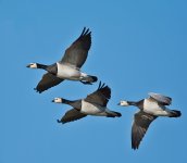 DSC_3304.jpg