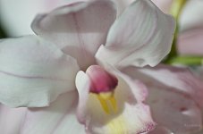 _AAA4380 - Version 2 - 2015-02-20 at 12-24-26.jpg