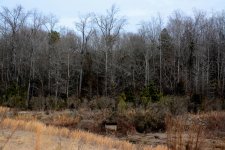 DSC_2872.jpg