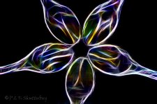 15A_8837_Fractalius_webshot.jpg