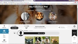 Guru Shots Pet Challenge_webshot.jpg