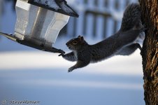 DSC_1133.jpg
