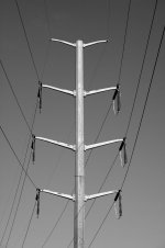 D70Mix 304.jpg