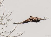 Day 53 of 365-2015-7225.jpg